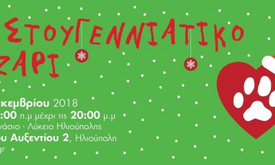 Χριστουγεννιάτικο Bazaar Aπό Τη Ζωοφιλική Ένωση Ηλιούπολης