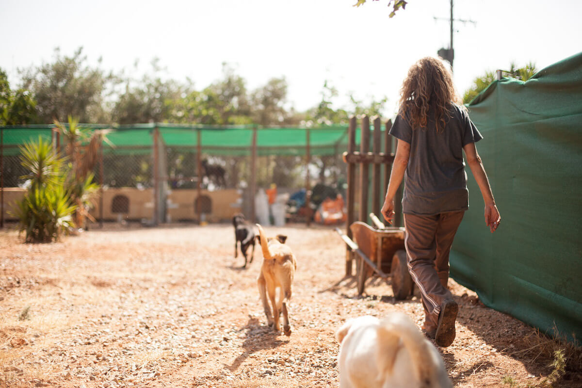 Χρηματοδότηση 10.000 Ευρώ Στον Δήμο Ηλιούπολης Για Καταφύγιο Αδέσποτων Ζώων