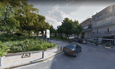 Φρίκη Στην Ηλιούπολη – Βρέθηκε Αποκεφαλισμένο Σκυλάκι Στην Πλατεία Αναγνωσταρά