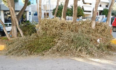 Βελτιώνεται Σταδιακά Το Πρόβλημα Με Τα Κομμένα Κλαδιά Στην Ηλιούπολη
