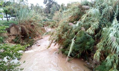 Δράση Καθαρισμού Του Ρέματος «Πικροδάφνης» Από Την Κίνηση Πολιτών Ηλιούπολης