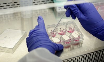 Ολοκληρώθηκε Η Ιχνηλάτηση Των Δύο Κρουσμάτων Κορωνοϊού Στο Δημαρχείο Ηλιούπολης