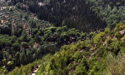 Προ Των Πυλών Μελέτη Για Την Καταγραφή & Οριοθέτηση Των Ρεμάτων Στην Ηλιούπολη