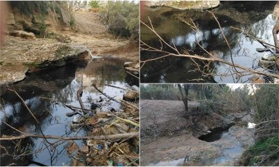 Μολύνθηκε Από Πετρέλαιο Το Ρέμα Της Πικροδάφνης