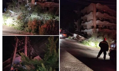 Πτώση Δέντρου Στα Αστυνομικά Ηλιούπολης