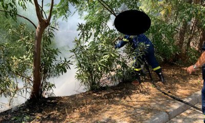 Νέα Φωτιά Στο Ρέμα Της Πικροδάφνης Στην Ηλιούπολη