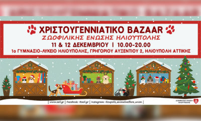 Επιστρέφει Μετά Από 2 Χρόνια Το Χριστουγεννιάτικο Bazaar Της Ζωοφιλικής Ένωσης Ηλιούπολης
