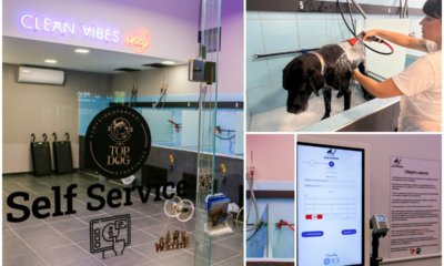 Quick Dog Shower: Self Service Φροντίδα Για Τoν Σκύλο Σας Σε Εξαιρετικές Τιμές