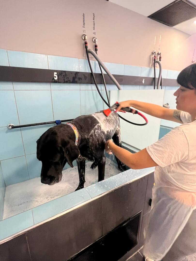 ΣΕΛΙΔΑ 16 ΕΣΩΤΕΡΙΚΗ 2 Quick Dog Shower: Self Service Φροντίδα Για Τoν Σκύλο Σας Σε Εξαιρετικές Τιμές