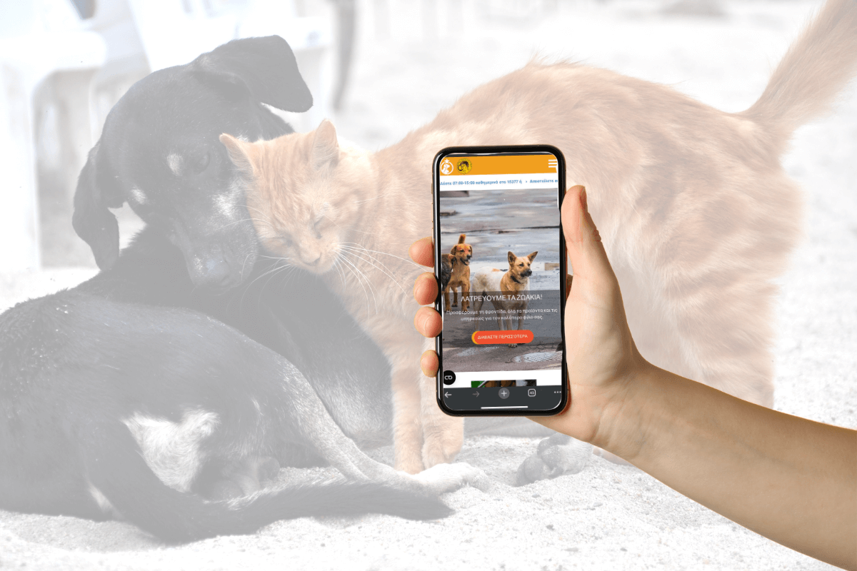 Ψηφιακή Πλατφόρμα Για Τα Ζώα Συντροφιάς Στον Δήμο Ηλιούπολης – Πως Λειτουργεί