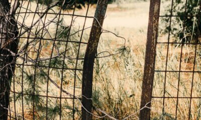 Παράταση Έως Τις 30 Ιουνίου Για Τη Δήλωση Ακαθάριστων Οικοπέδων Στο GOV