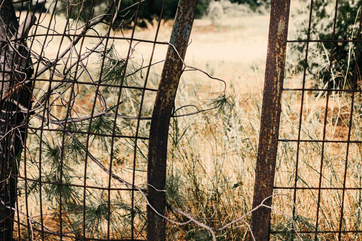 Άνοιξε Η Πλατφόρμα Δηλώσεων Για Τον Καθαρισμό Οικοπέδων – Τσουχτερά Πρόστιμα Για Τις Εκπρόθεσμες Υποβολές