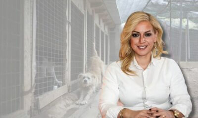 Στη Βουλή Το Θέμα Του Καταφυγίου Αδέσποτων Της Ηλιούπολης