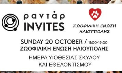 Ημέρα Υιοθεσίας Σκύλου Και Εθελοντισμού Σήμερα Στην Ηλιούπολη