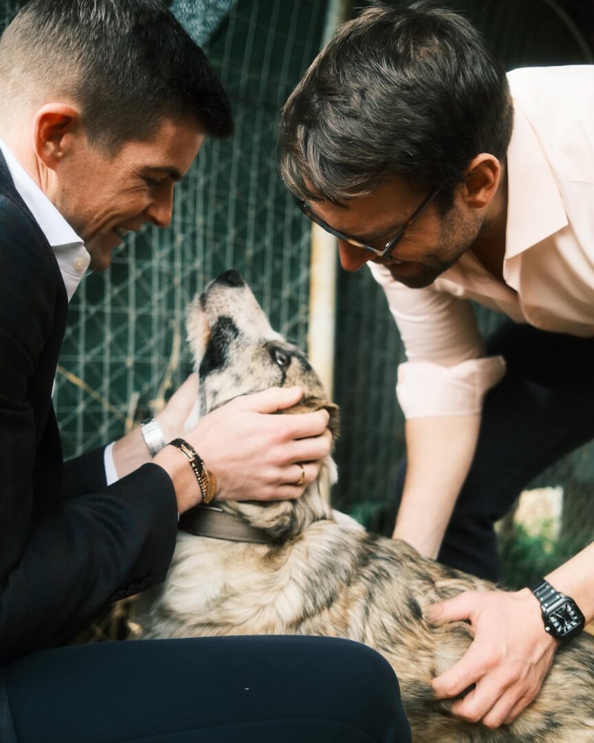 471374989 18479633605018200 3142709057942196607 n Ηλιούπολη: Επίσκεψη Στο Καταφύγιο Της Ζωοφιλικής Για Τον Στέφανο Κασσελάκη