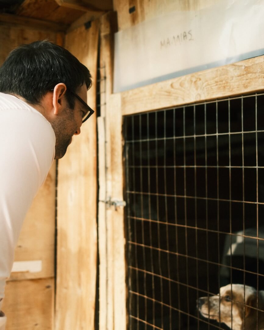 471383179 18479633545018200 8958483634195528181 n Ηλιούπολη: Επίσκεψη Στο Καταφύγιο Της Ζωοφιλικής Για Τον Στέφανο Κασσελάκη