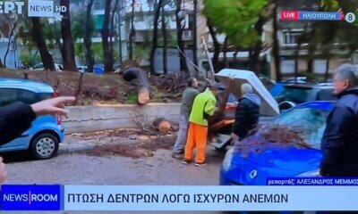 Πτώση Δέντρων Και Κλήσεις Για Άντληση Υδάτων Στην Ηλιούπολη Λόγω Κακοκαιρίας