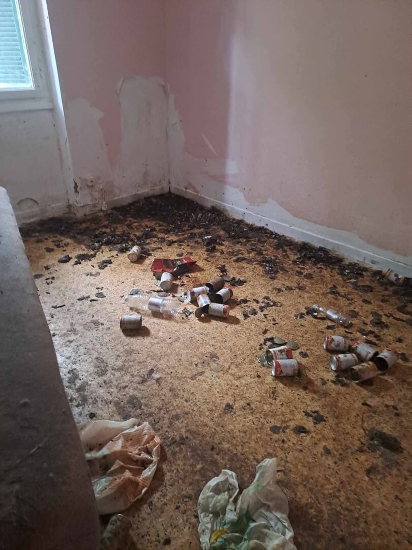 499048508 1094152556080397 7681883906871997607 n Ηλιούπολη: Εισαγγελική Παρέμβαση Για Παραμέληση Ζώων