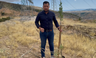 Ψυρρόπουλος: «Για Κάθε Δέντρο Που Κόβεται Στο ΚΥΤ, Θα Φυτεύουμε Δύο» – Κάλεσμα Σε Πορεία Διαμαρτυρίας