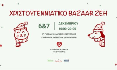 Χριστουγεννιάτικο Bazaar Από Τη Ζωοφιλική Ένωση Ηλιούπολης Στις 6 & 7 Δεκεμβρίου