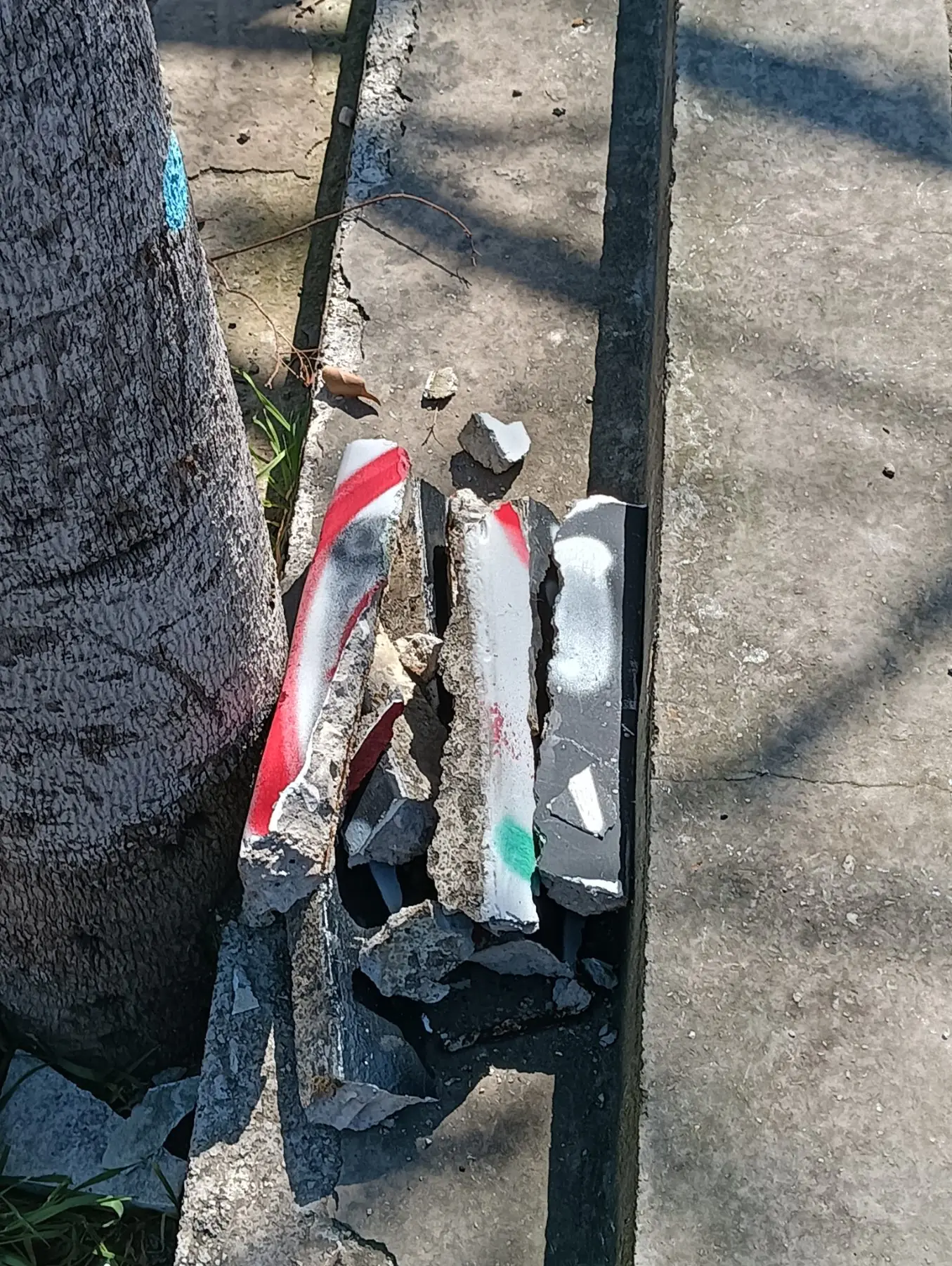 650996791 1545661350897667 3224572059202755007 n Απίστευτο Περιστατικό Βανδαλισμού Στην Ηλιούπολη - Ξήλωσαν Τοίχο Στο Πάρκο Αγίου Νικολάου