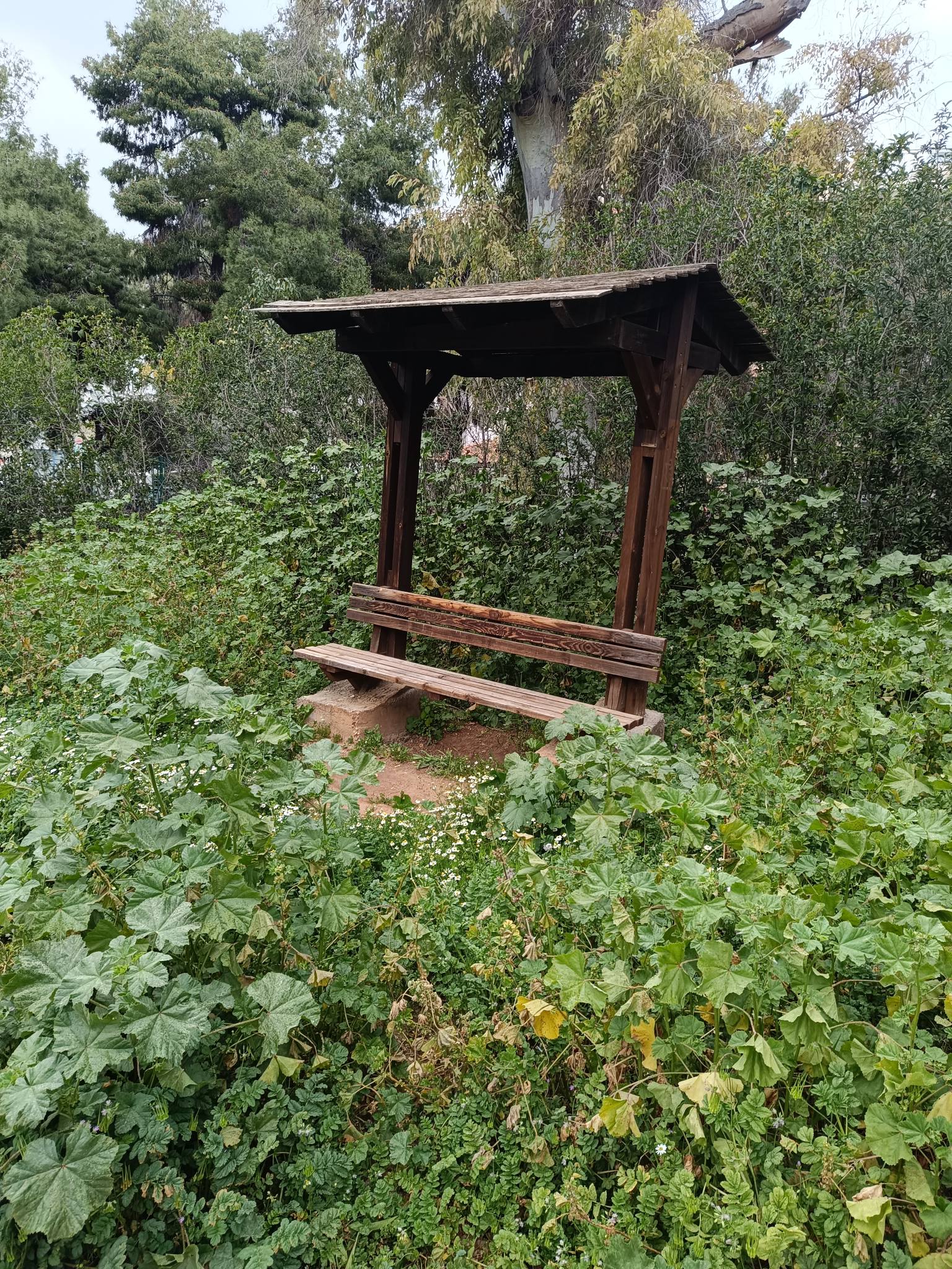 654206420 10236888024114551 2872785373434821267 n Εικόνες Εγκατάλειψης Στο Πάρκο Ναυαρίνου Στην Ηλιούπολη