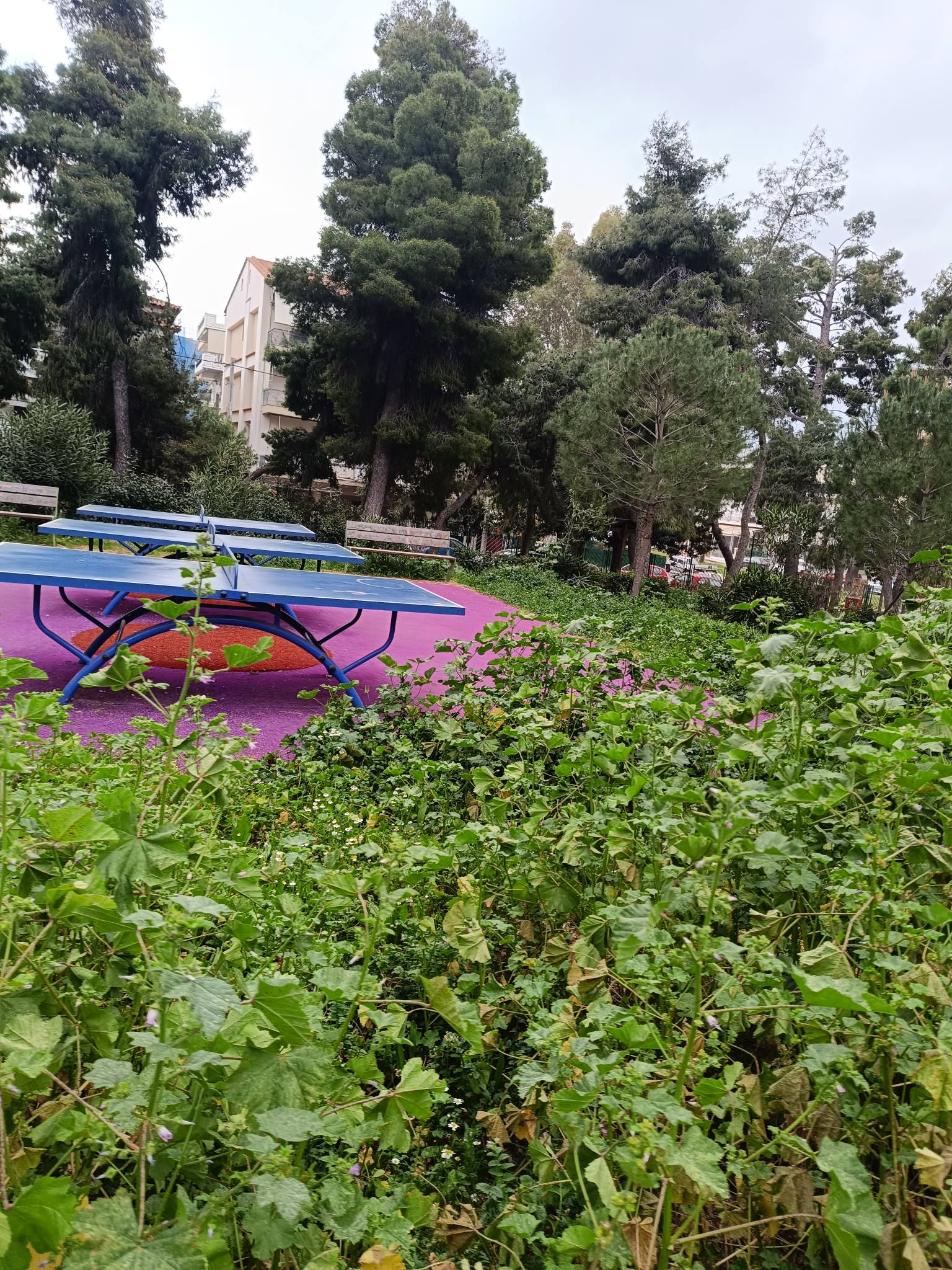 654448850 10236888026154602 1232419775262942740 n 1 Εικόνες Εγκατάλειψης Στο Πάρκο Ναυαρίνου Στην Ηλιούπολη