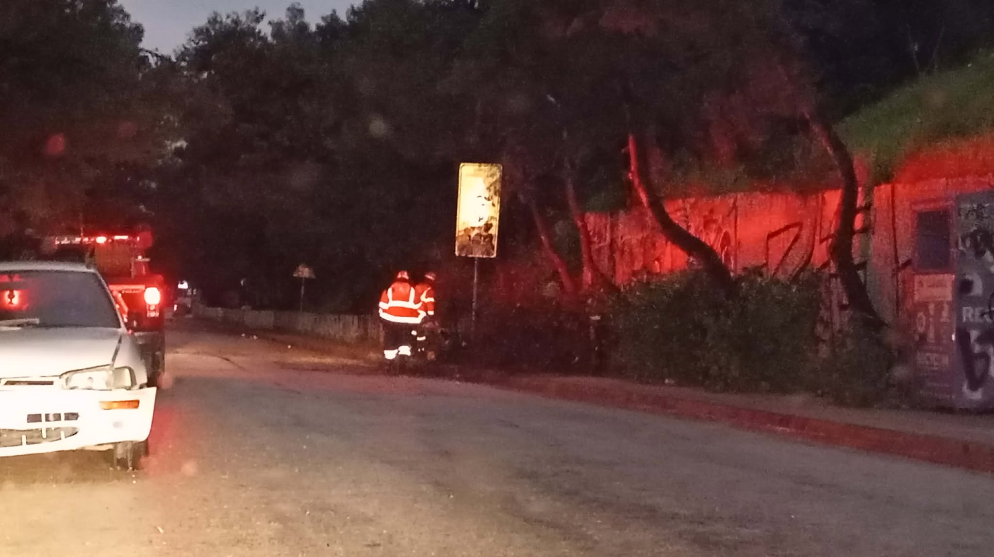 662311546 1003853448968164 4875973089612680154 n Ηλιούπολη: Πτώσεις Δέντρων Σε Όλη Την Πόλη Λόγω Κακοκαιρίας «Erminio»- Παρέμβαση Της Πυροσβεστικής Και Της ΕΟΔΠΗ