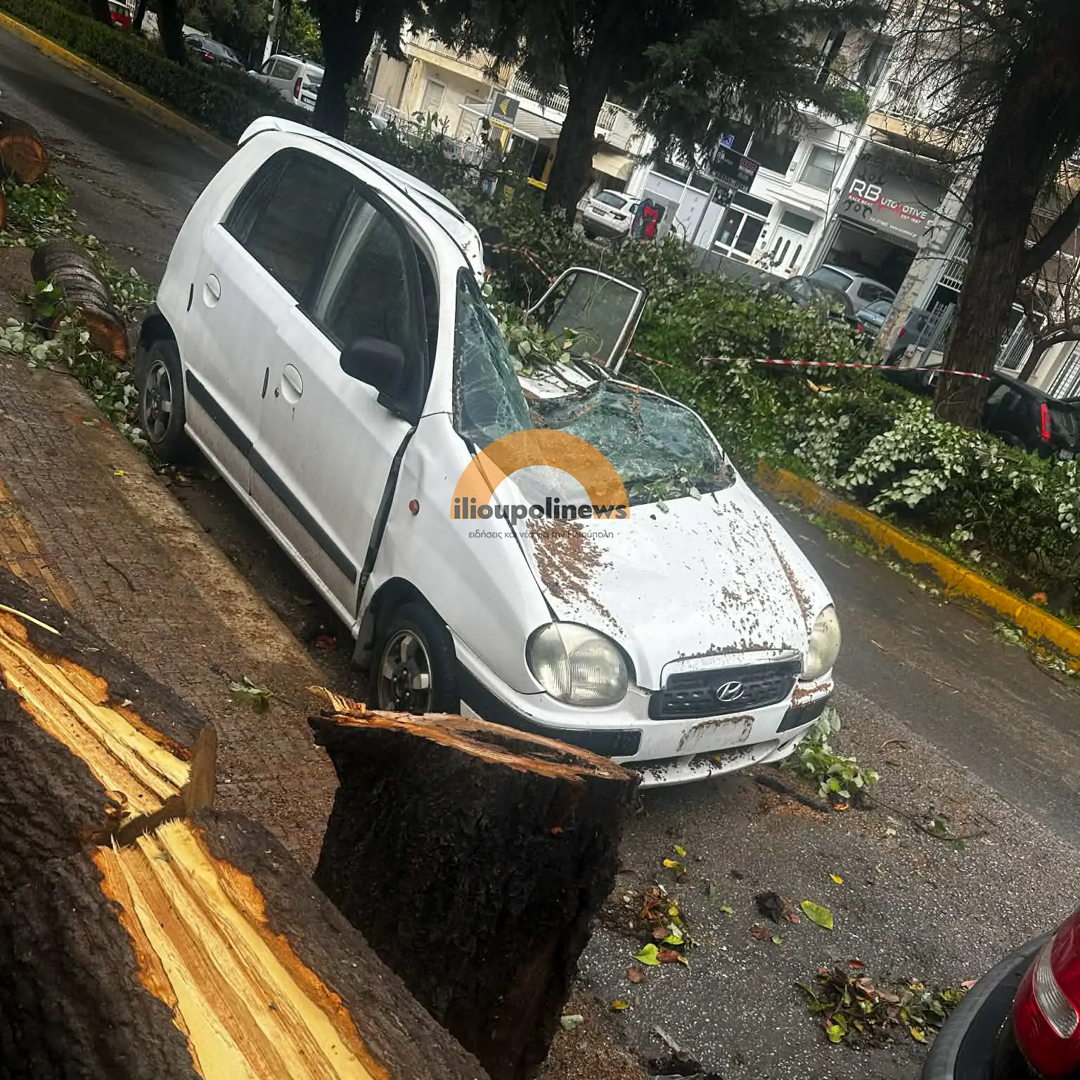 c061ebe9 456d 4e19 b530 c1c1c8fa89cc Κακοκαιρία «Erminio»: Κορμός Δέντρου Έπεσε Σε Σταθμευμένο ΙΧ Στην Ηλιούπολη