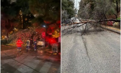 Ηλιούπολη: Πτώσεις Δέντρων Σε Όλη Την Πόλη Λόγω Κακοκαιρίας «Erminio»- Παρέμβαση Της Πυροσβεστικής Και Της ΕΟΔΠΗ