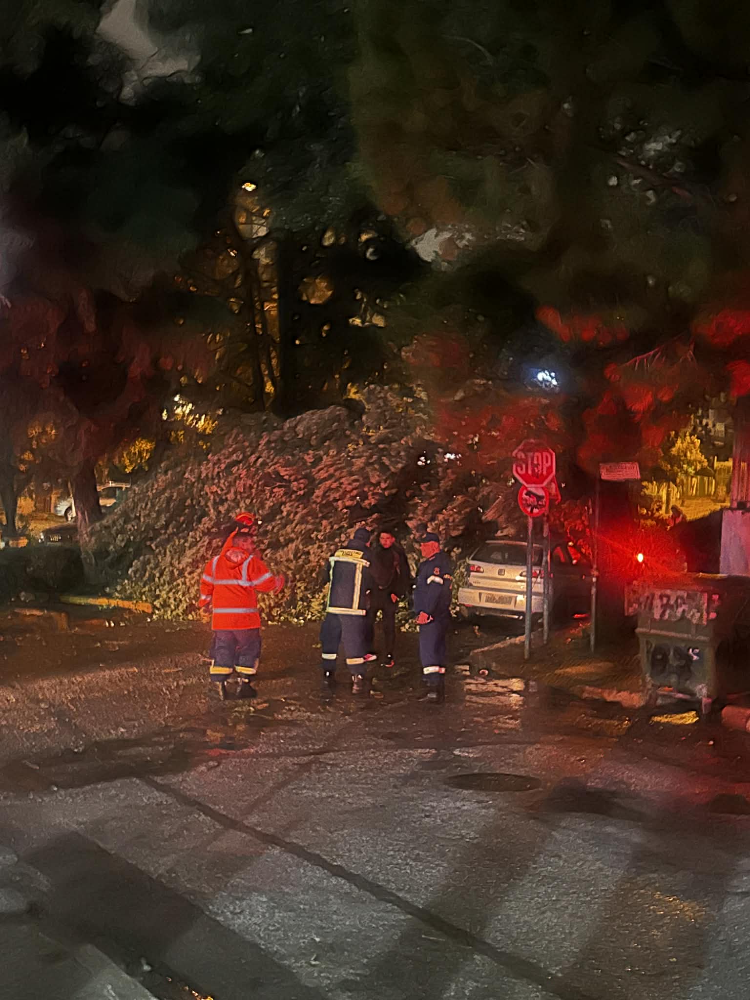 f5c733d0 2721 4fd3 b538 9379e959897f Ηλιούπολη: Πτώσεις Δέντρων Σε Όλη Την Πόλη Λόγω Κακοκαιρίας «Erminio»- Παρέμβαση Της Πυροσβεστικής Και Της ΕΟΔΠΗ