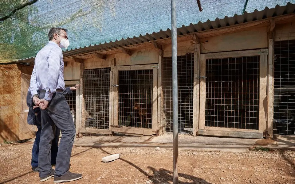 «Πράσινο Φως» Από Μαξίμου Για Το Νέο Καταφύγιο Αδέσποτων Στην Ηλιούπολη