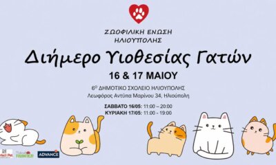 Ηλιούπολη: Διήμερη Γιορτή Υιοθεσίας Για Αδέσποτες Γάτες Στο 6ο Δημοτικό Σχολείο